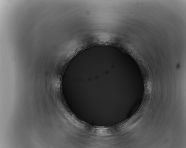 X0000089350472200706221142