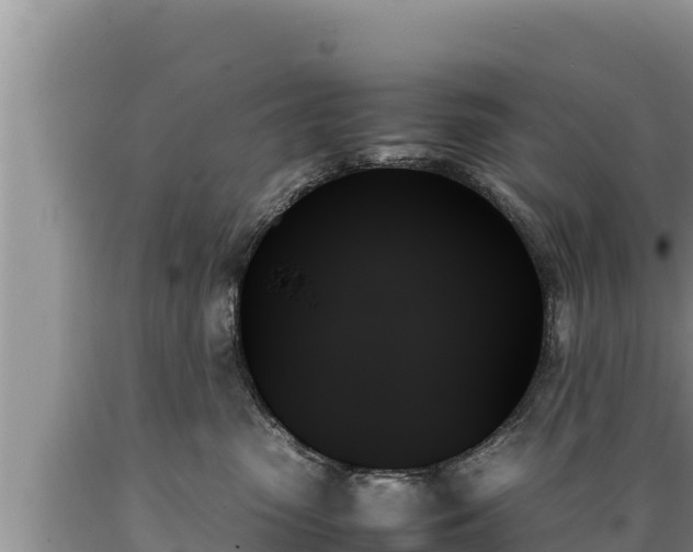 X0000089350475200706221142