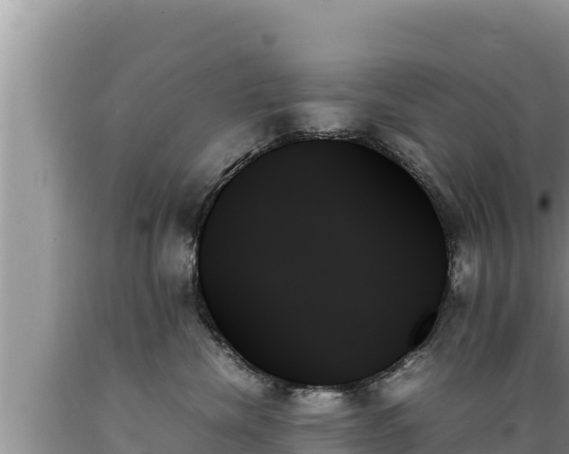 X0000089350476200706221142