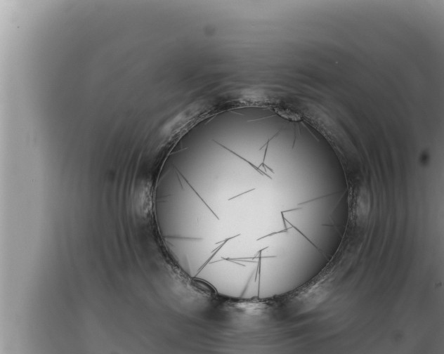 X0000089350478200706221142