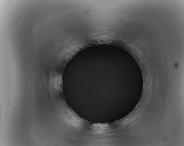 X0000089350480200706221142