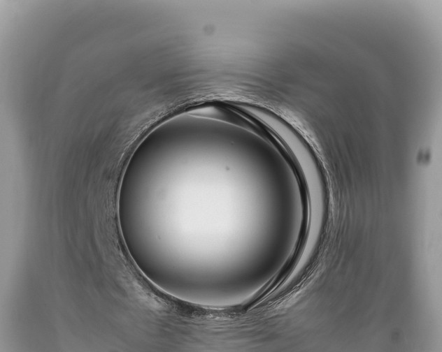 X0000089350481200706221142