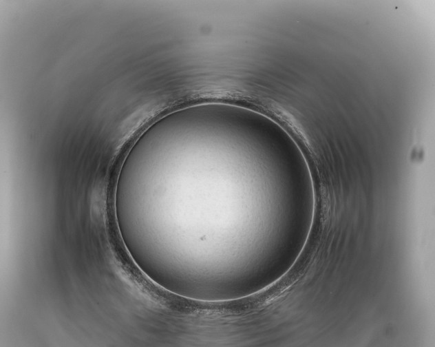 X0000089350482200706221142