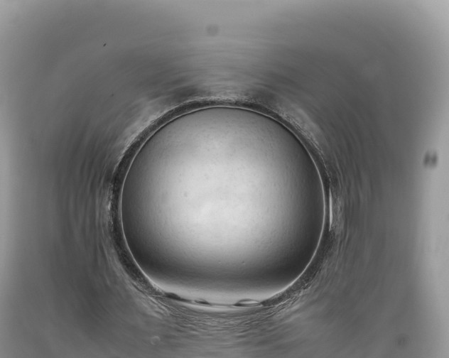 X0000089350483200706221142