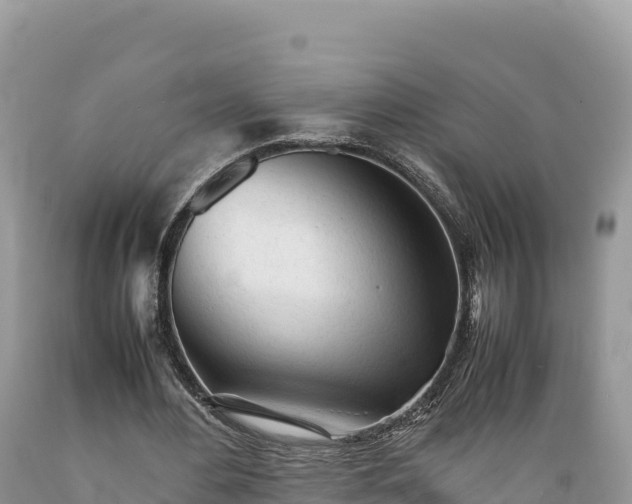 X0000089350484200706221142