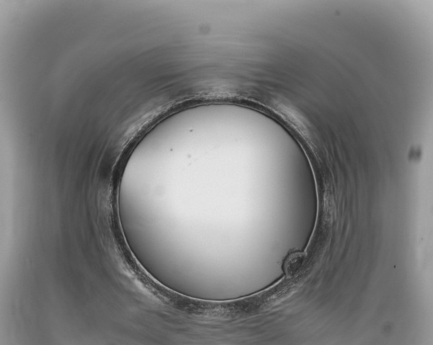 X0000089350485200706221142