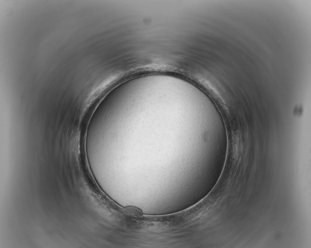 X0000089350486200706221142