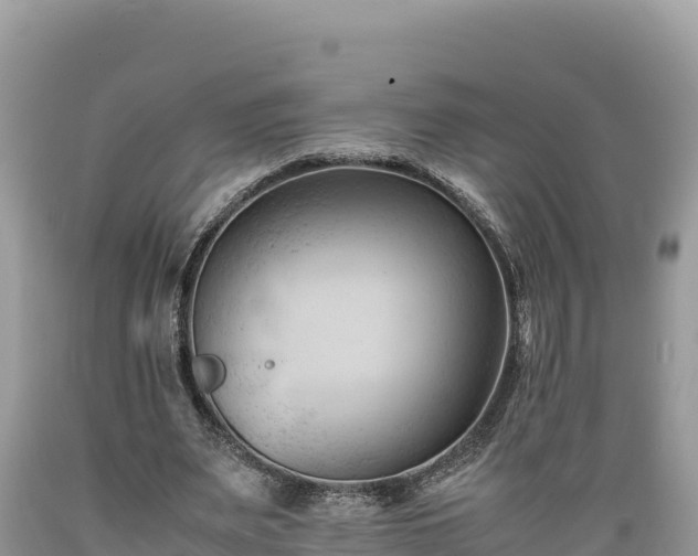 X0000089350487200706221142