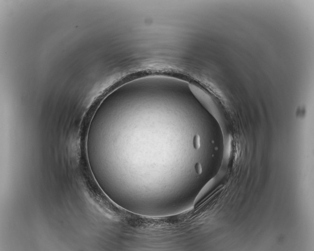 X0000089350488200706221142