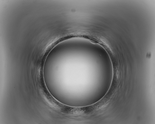 X0000089350491200706221142
