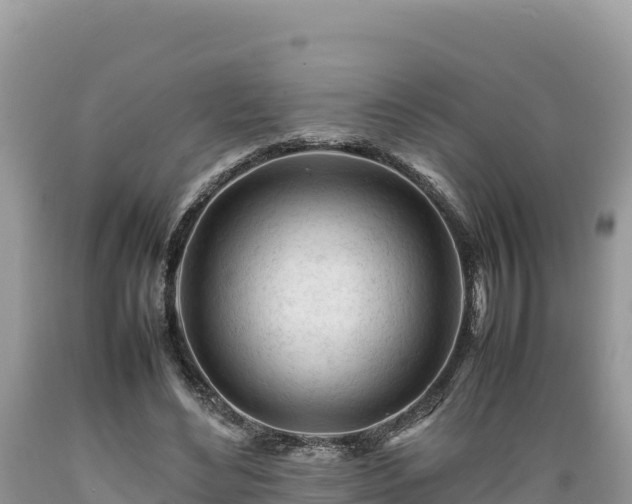 X0000089350492200706221142