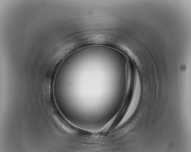 X0000089350493200706221142