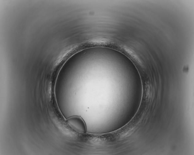 X0000089350494200706221142