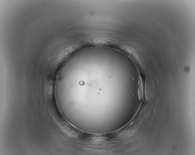X0000089350495200706221141