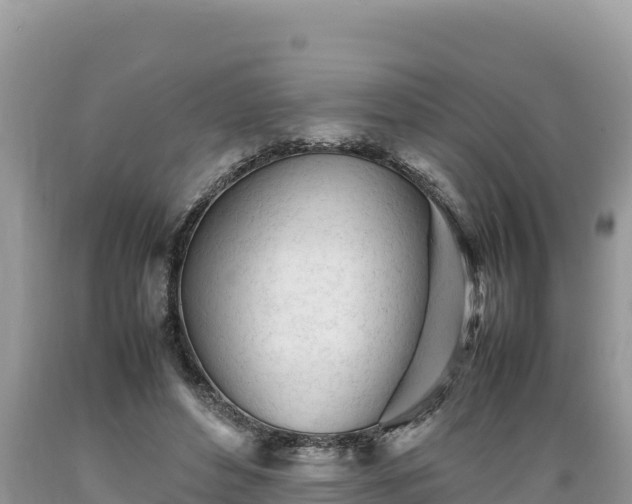X0000089350496200706221141