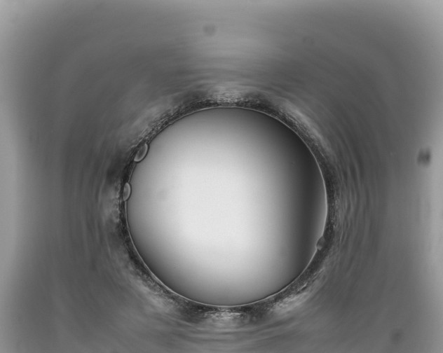 X0000089350497200706221141