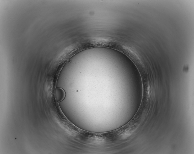 X0000089350498200706221141