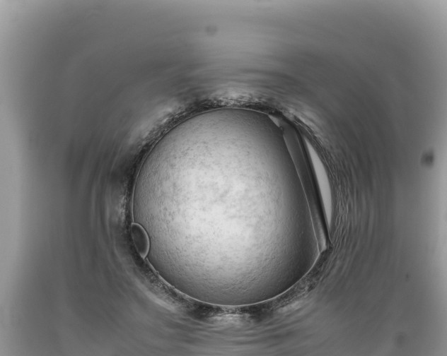 X0000089350499200706221141