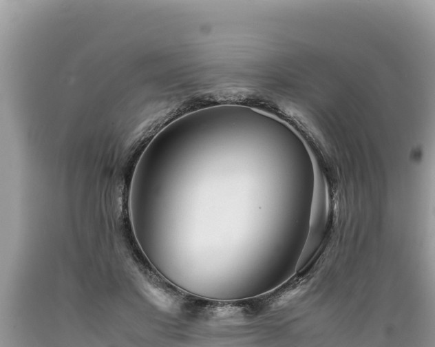 X0000089350501200706221141