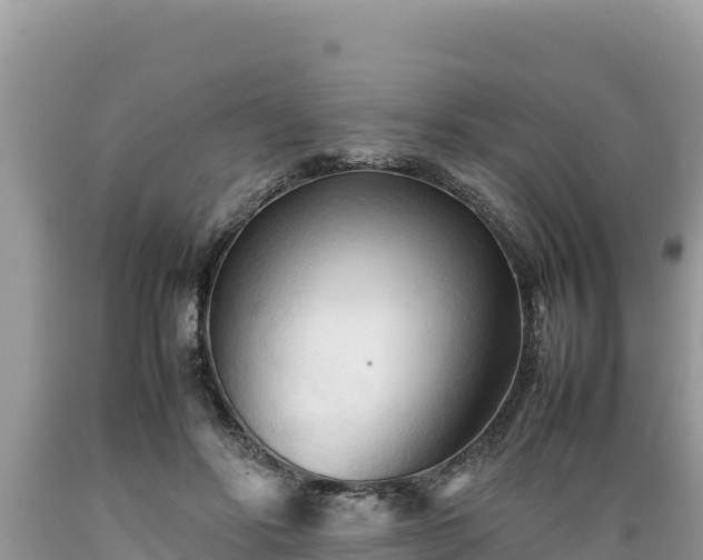 X0000089350502200706221141