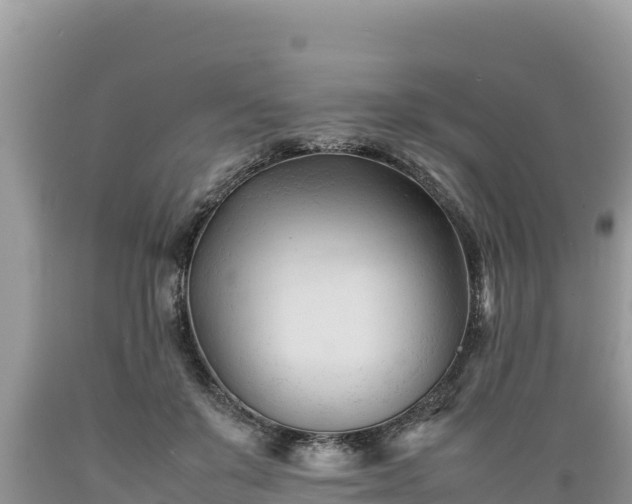 X0000089350503200706221141