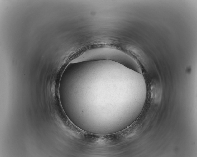 X0000089350504200706221141