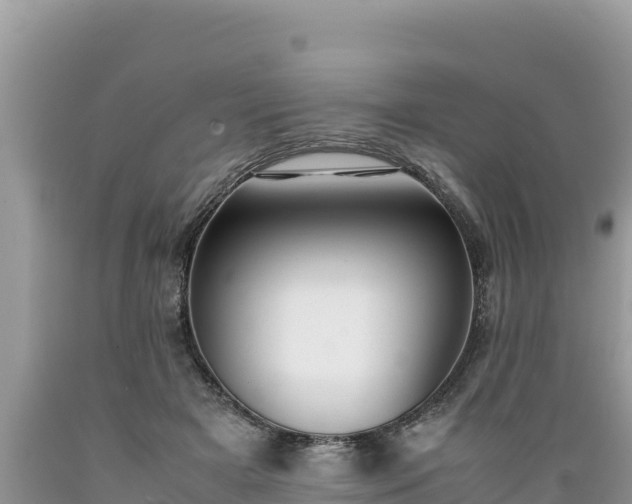 X0000089350505200706221141