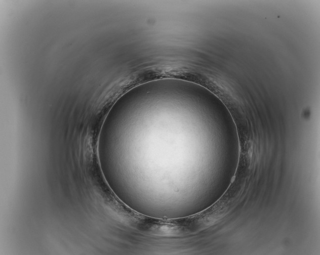 X0000089350506200706221141