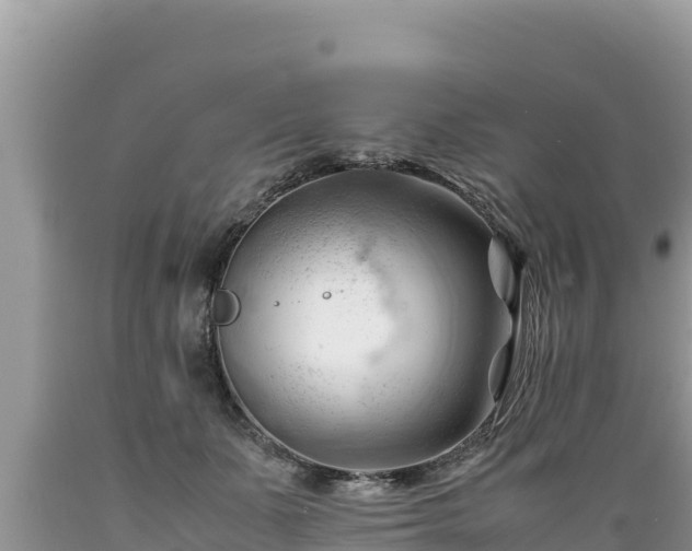 X0000089350511200706221141
