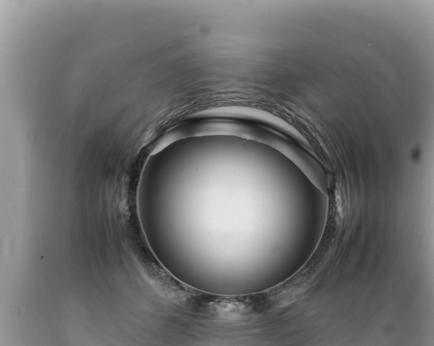 X0000089350512200706221141