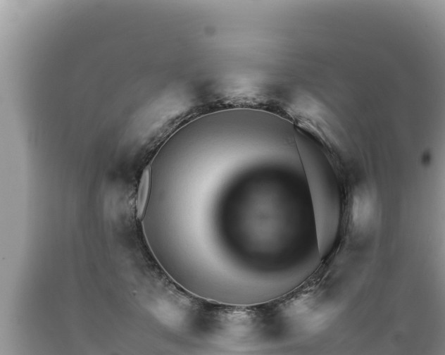 X0000089350513200706221141