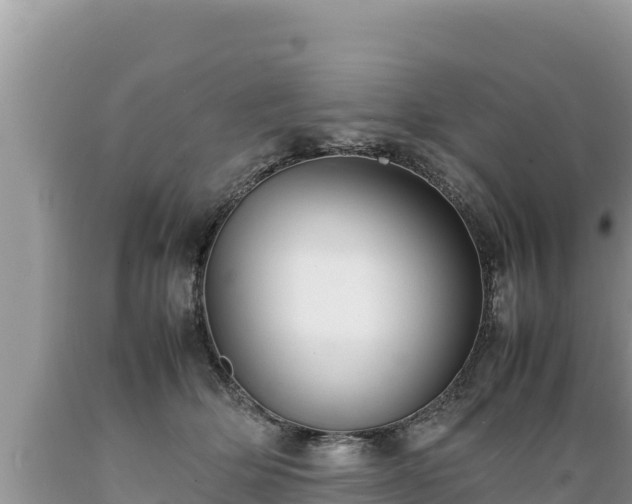 X0000089350514200706221141