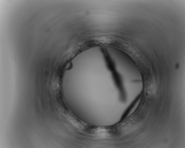 X0000089350518200706221141