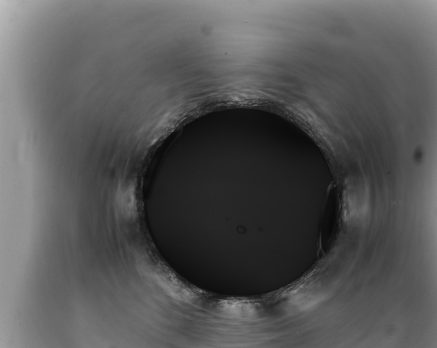 X0000089350520200706221141