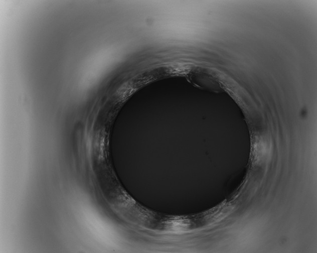 X0000089350525200706221141