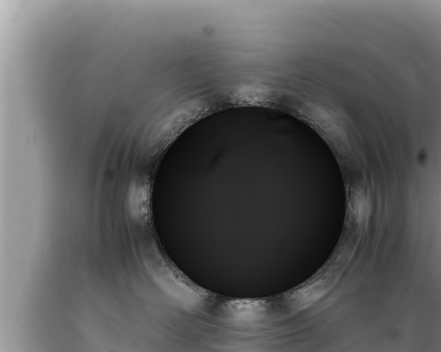 X0000089350526200706221141