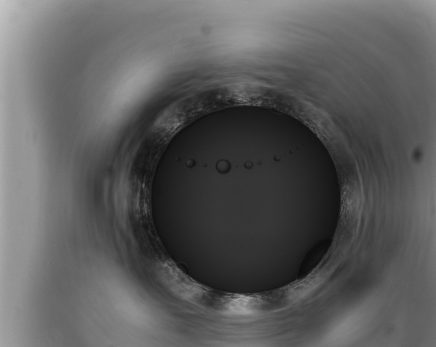 X0000089350527200706221141