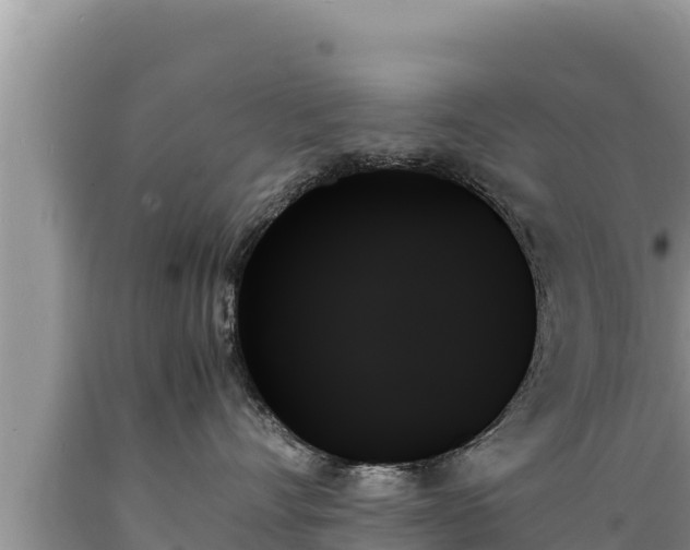 X0000089350528200706221141