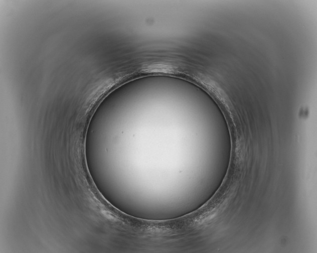 X0000089350529200706221140