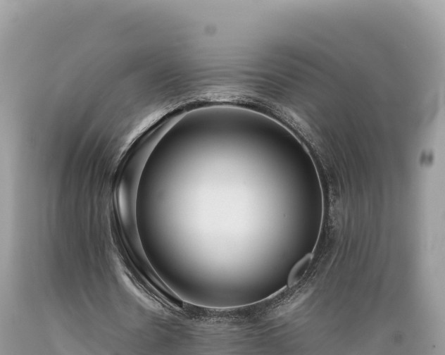 X0000089350530200706221140