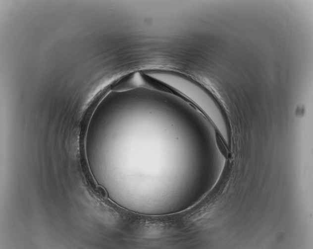 X0000089350531200706221140