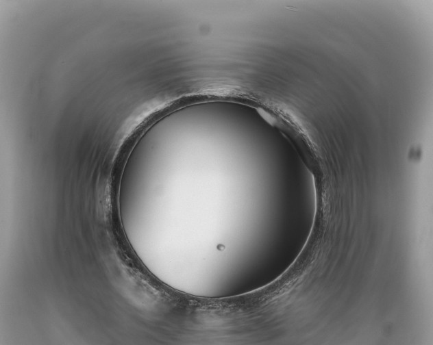 X0000089350532200706221140