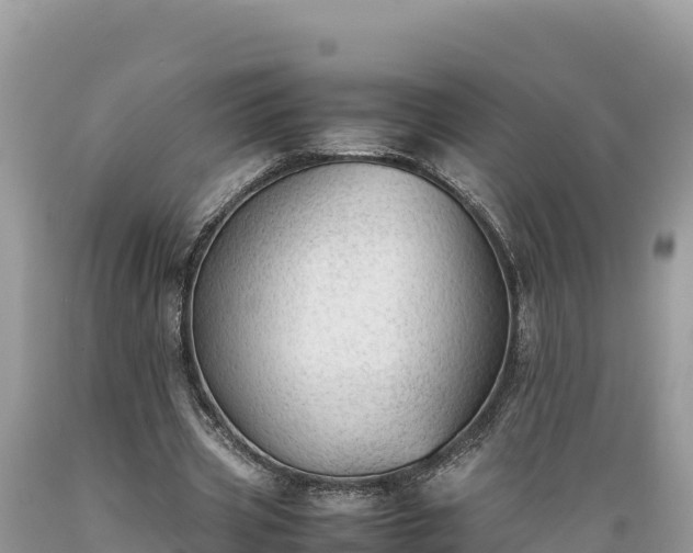 X0000089350533200706221140