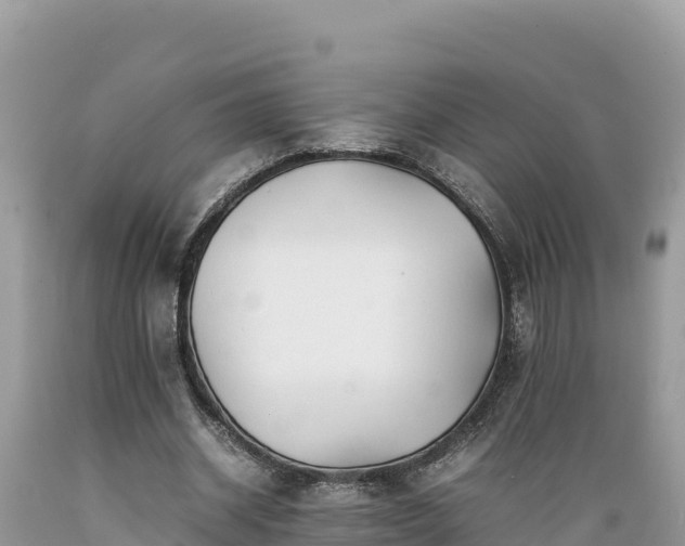 X0000089350534200706221140