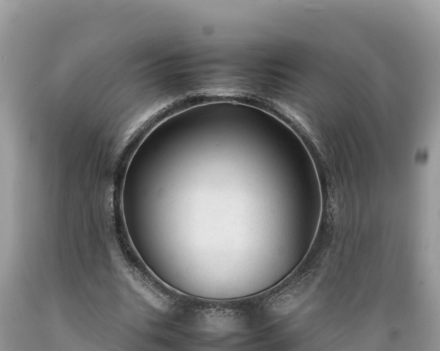 X0000089350535200706221140