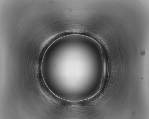 X0000089350536200706221140
