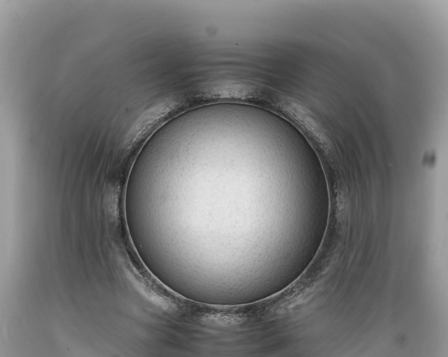 X0000089350537200706221140