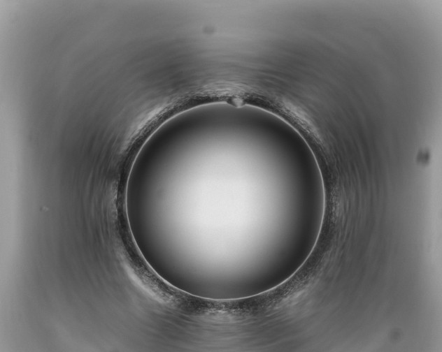 X0000089350538200706221140