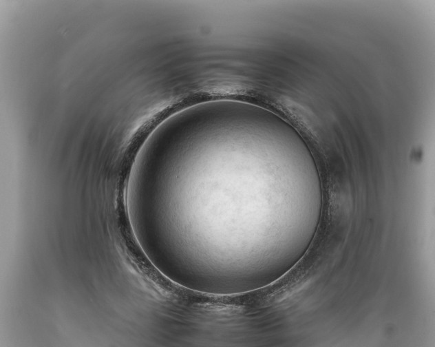X0000089350539200706221140