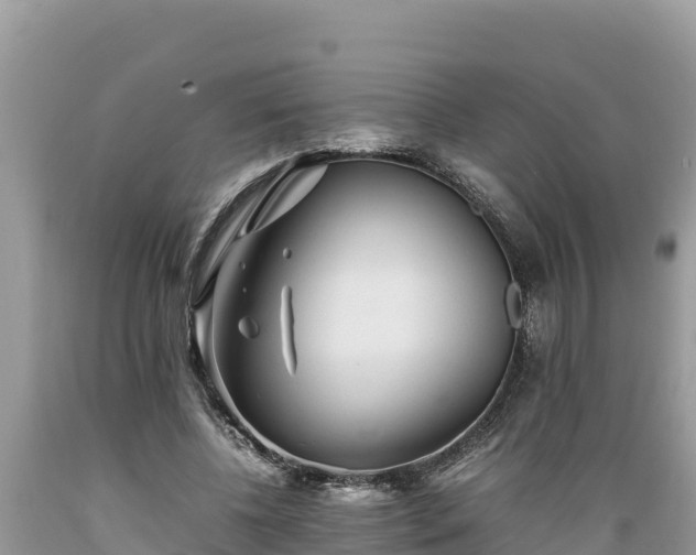 X0000089350540200706221140